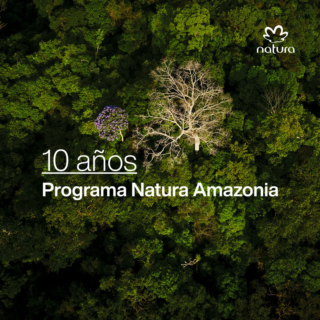 Programa Amazonia: 10 años cuidando la selva y contribuyendo el desarrollo de las comunidades locales