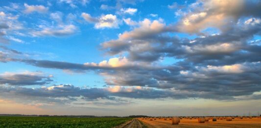 ¿Cómo la agricultura puede ser sostenible?