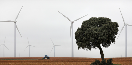 Iberdrola se propone convertir en 100 por cien verdes los sectores agrícola y ganadero