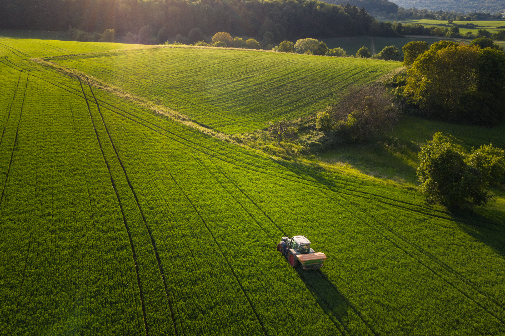Aerial view on agricultural landscape in spring. A farmer with his machine is driving on a wheat field. Captured with a drone in southern Germany.