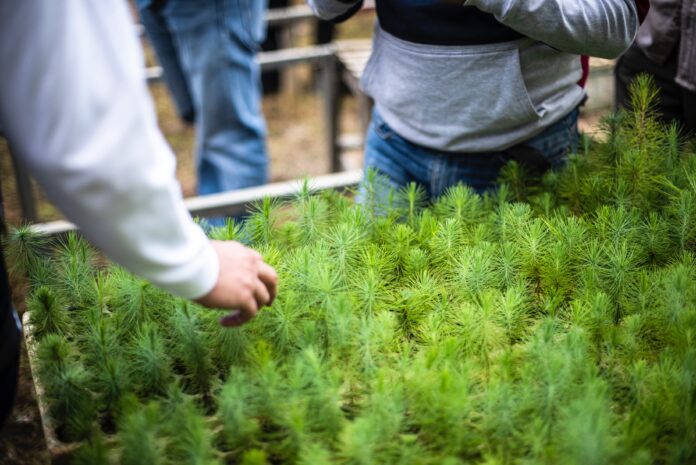 Avanza la agricultura regenerativa en la Cuenca Copalita-Zimatán- Huatulco