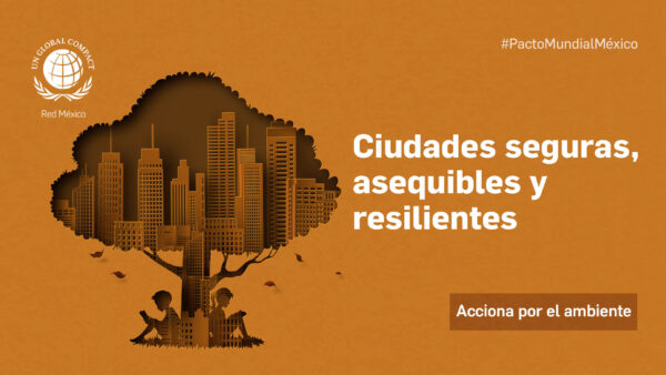 Ciudades seguras, asequibles y resilientes