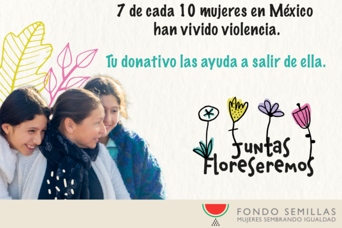 Campaña de procuración de fondos #JuntasFloreSeremos atenderá la violencia hacia las mujeres