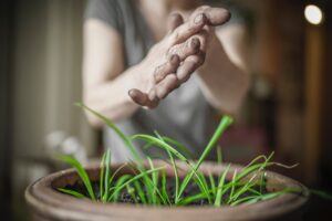 Nueva guía de educación ambiental se enfoca en acciones por la naturaleza y el clima y contra la contaminación