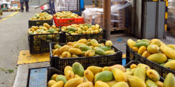 La inflación pone contra las cuerdas a los bancos de alimentos