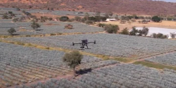 Diageo presenta drones para impulsar la eficiencia agrícola y los beneficios ambientales en el cultivo de tequila en México