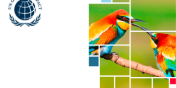 Actúa a favor de la naturaleza este Día Internacional de la Diversidad Biológica