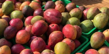 A un paso de conseguirse un acuerdo comercial clave para los países en desarrollo