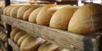 Aumenta el número de personas que sufren hambre aguda por cuarto año consecutivo