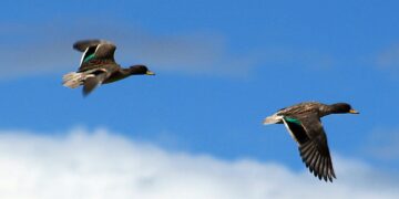 La UNESCO designa 11 nuevas reservas de la biosfera, dos de ellas en América Latina