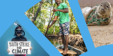 Por las personas y el planeta: la estrategia del PNUMA para 2022-2025