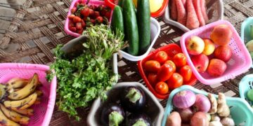 Al año se desperdician 570 millones de toneladas de alimentos