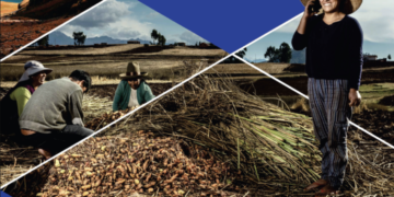 Persisten desafíos en la recuperación laboral rural en América Latina tras la pandemia
