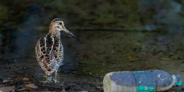 Reducir la cantidad de plástico en un 80%