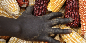 Los esfuerzos tendientes a salvaguardar la biodiversidad reciben un bienvenido impulso