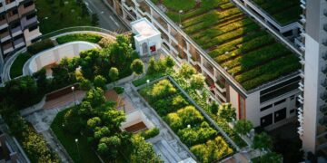 La naturaleza, clave en las infraestructuras para el desarrollo sostenible