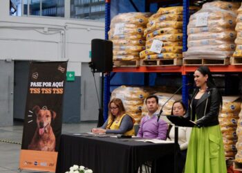 Abordando la crisis del abandono animal: FCO Group, Pedigree y Alimento Para Todos