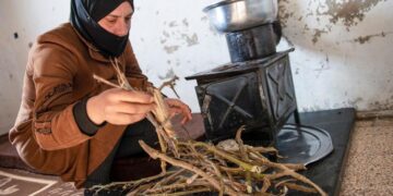 La ONU solicita 46,000 millones de dólares para asistencia humanitaria en 2024