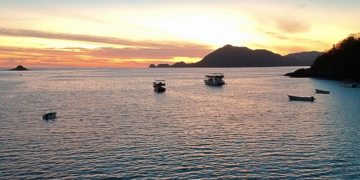 Royal Holiday une a huéspedes, socios y colaboradores por la protección de la naturaleza