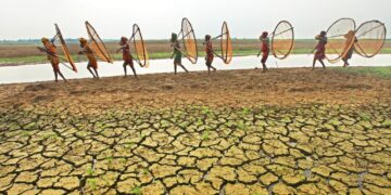 Los datos sobre la sequía muestran una emergencia sin precedentes a escala planetaria