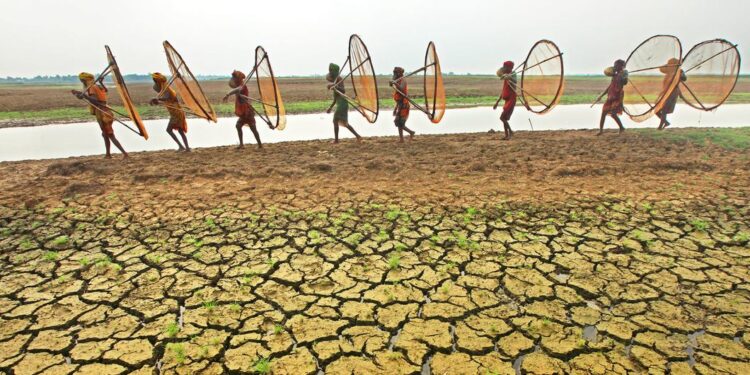 Los datos sobre la sequía muestran una emergencia sin precedentes a escala planetaria