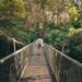 Tourist at Mossman gorge national park in far north Queensland