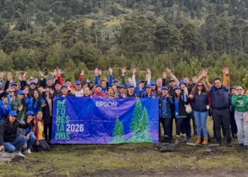 Voluntarios corporativos plantando brotes de oyamel en las faldas del Parque Nacional Nevado de Toluca.