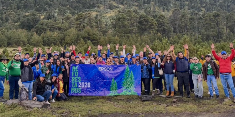 Voluntarios corporativos plantando brotes de oyamel en las faldas del Parque Nacional Nevado de Toluca.